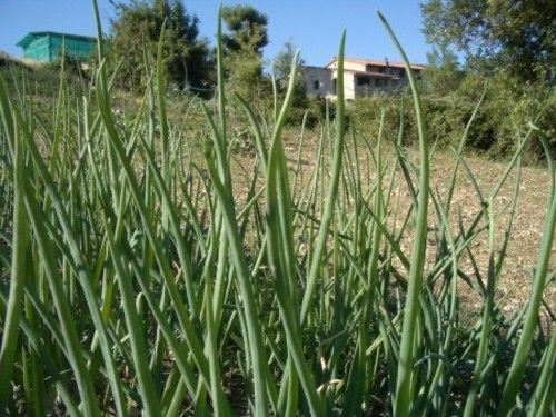 Отель Poggio A Poppi