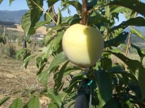 Отель Poggio A Poppi