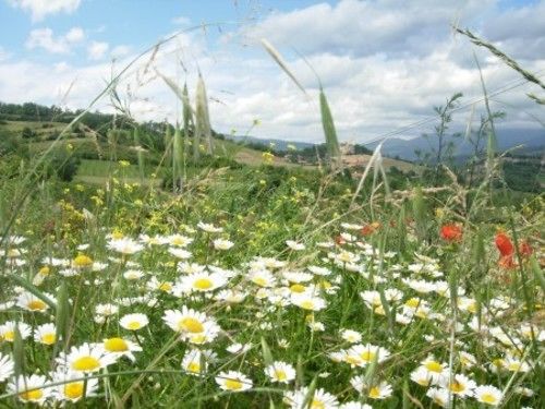 Отель Poggio A Poppi