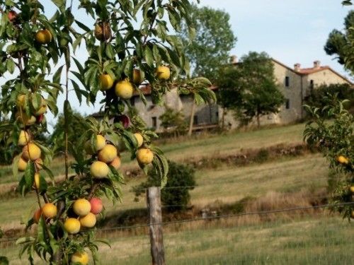 Отель Poggio A Poppi