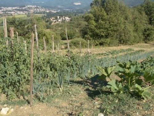 Отель Poggio A Poppi