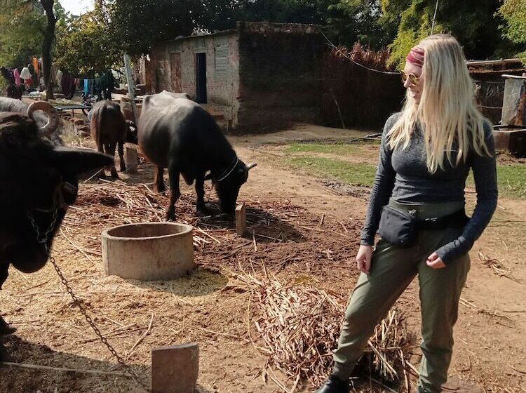 فندق Ranthambore Tiger Inn Comfort Resort