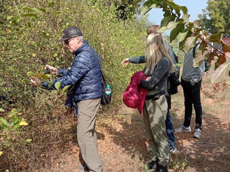 فندق Ranthambore Tiger Inn Comfort Resort