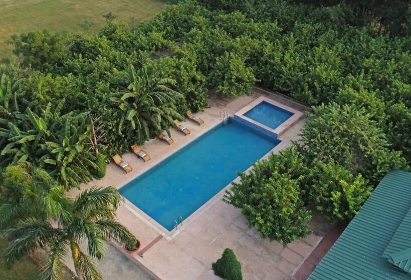 فندق Ranthambore Tiger Inn Comfort Resort