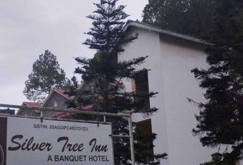 בית מלון כפרי Silver Tree Inn