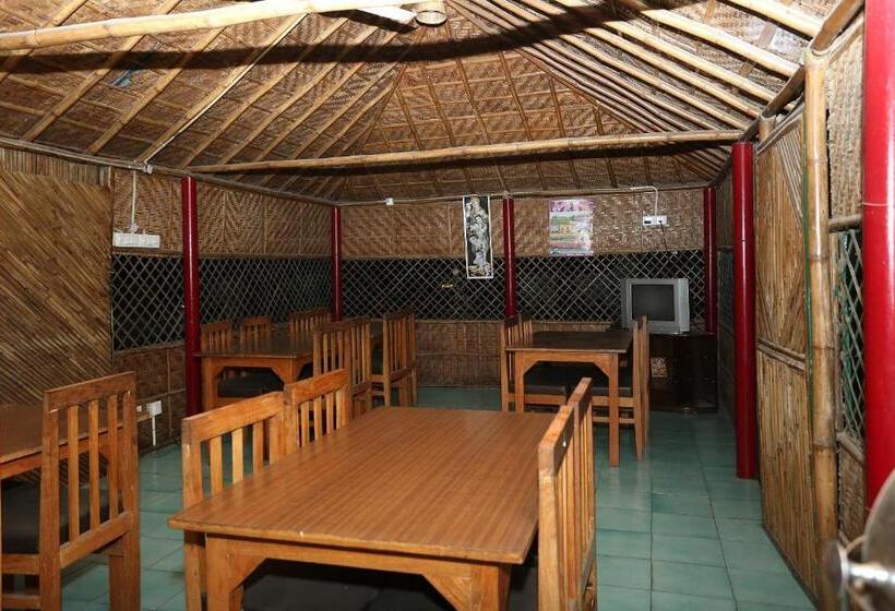 בית מלון כפרי Silver Tree Inn