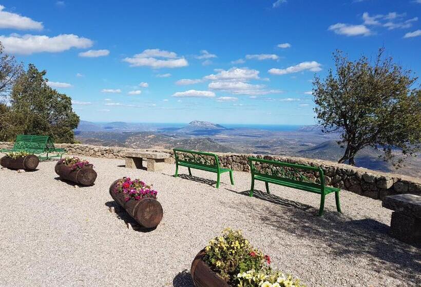 فندق Terry's House