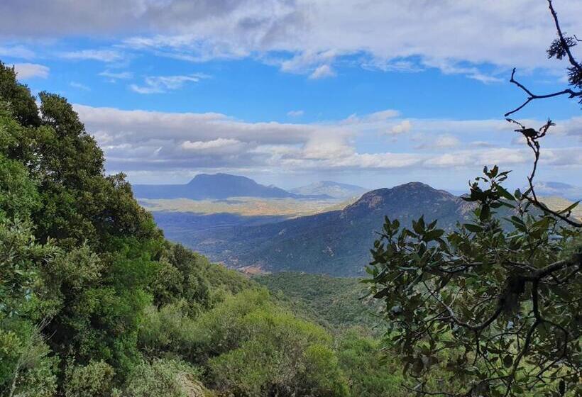 فندق Terry's House