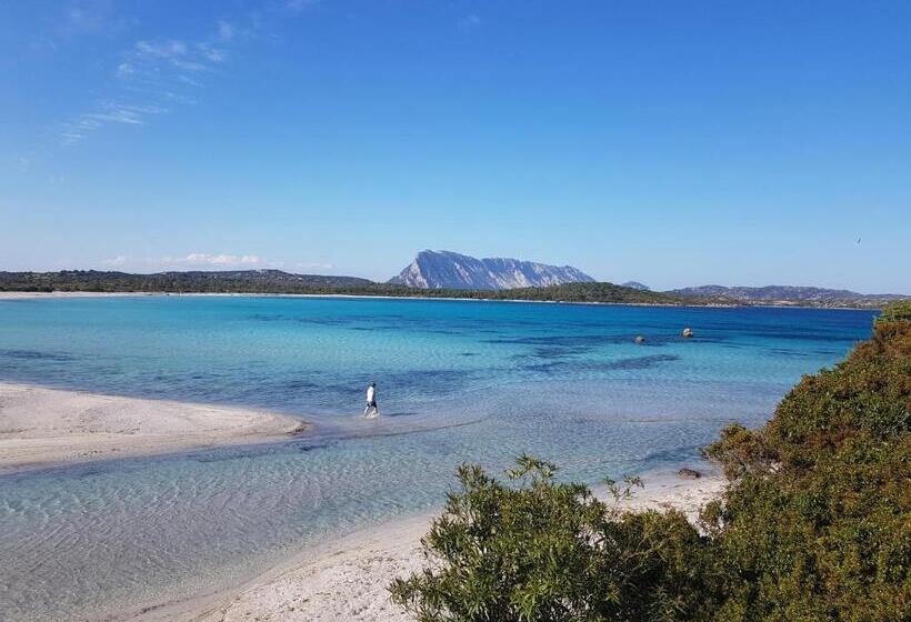 فندق Terry's House