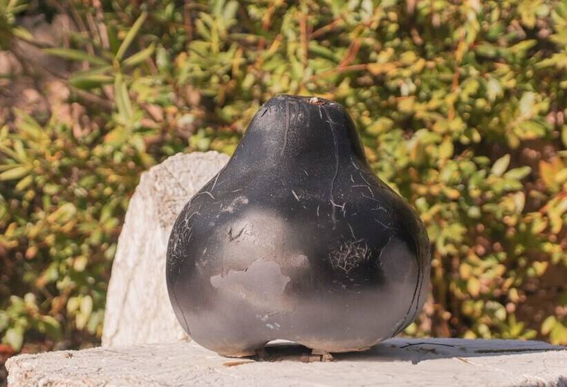 فندق Villa St Maxime