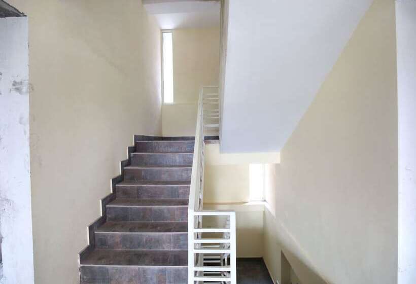 Oyo 13769 Home Spacious 3bhk Kasauli