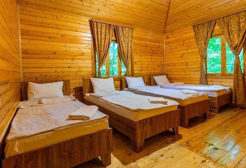 پانسیون Alban Resort