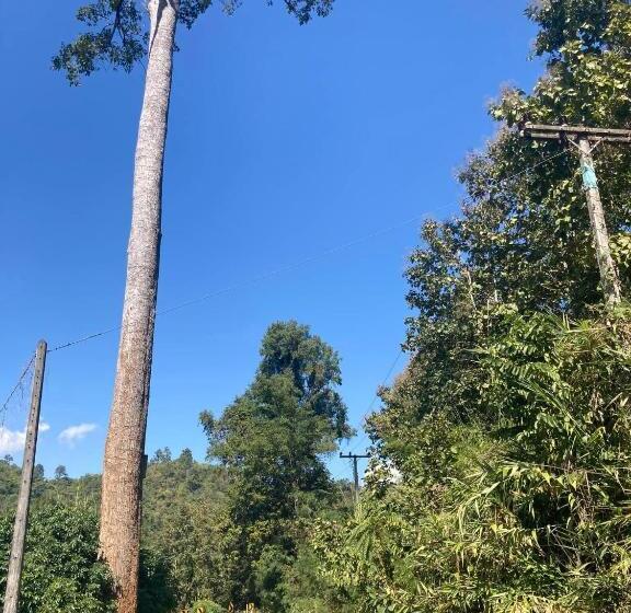 بنسيون Bann Rai Klai Weang Homestay