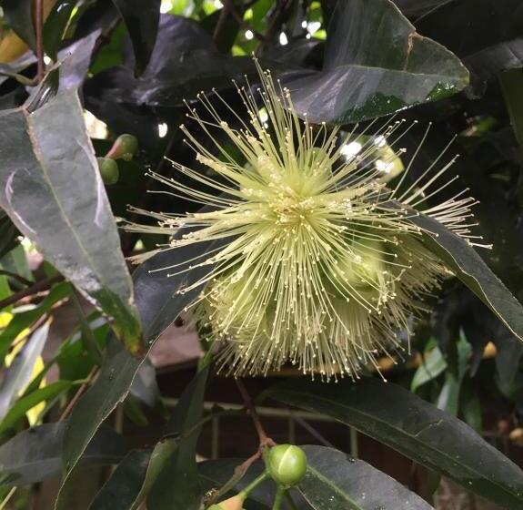 ペンション Bann Rai Klai Weang Homestay