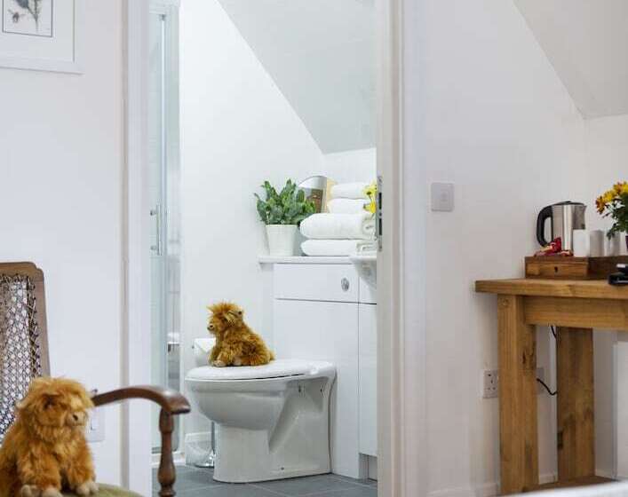 بنسيون Ben Cruachan Inn