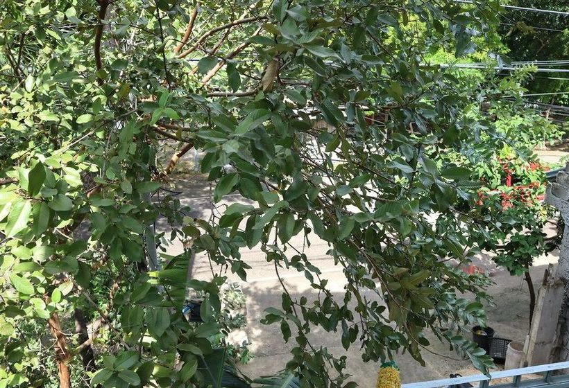 پانسیون Guilly's Place