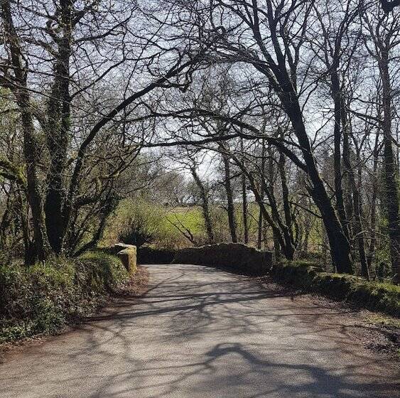 بنسيون Meadow Oak Accommodation