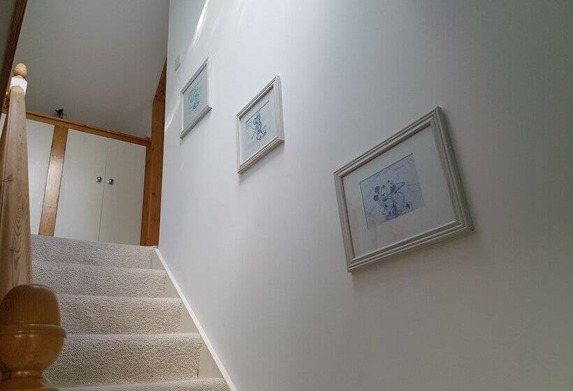 بنسيون Meadow Oak Accommodation