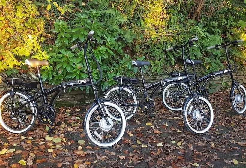 بنسيون Meadow Oak Accommodation