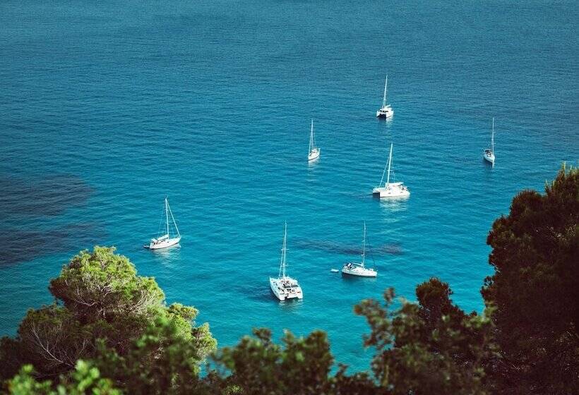 Petunia Ibiza, A Beaumier
