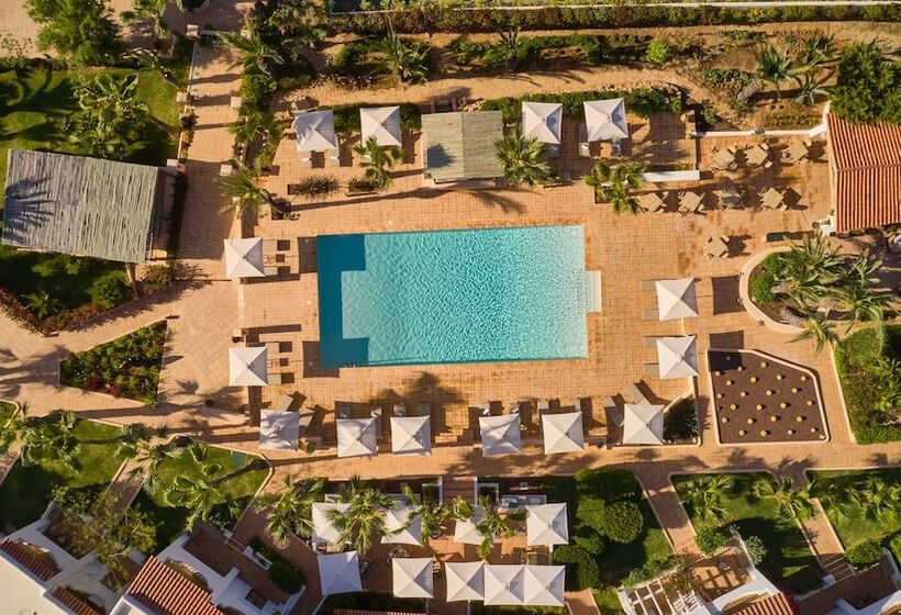 Petunia Ibiza, A Beaumier