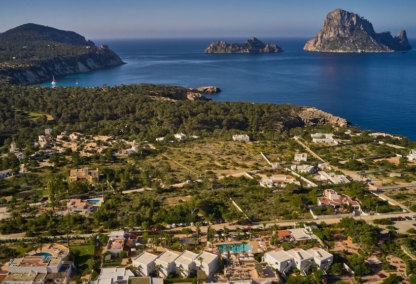 Petunia Ibiza, A Beaumier