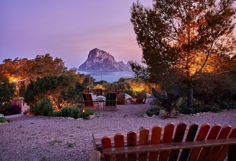 Petunia Ibiza, A Beaumier