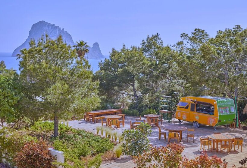 Petunia Ibiza, A Beaumier