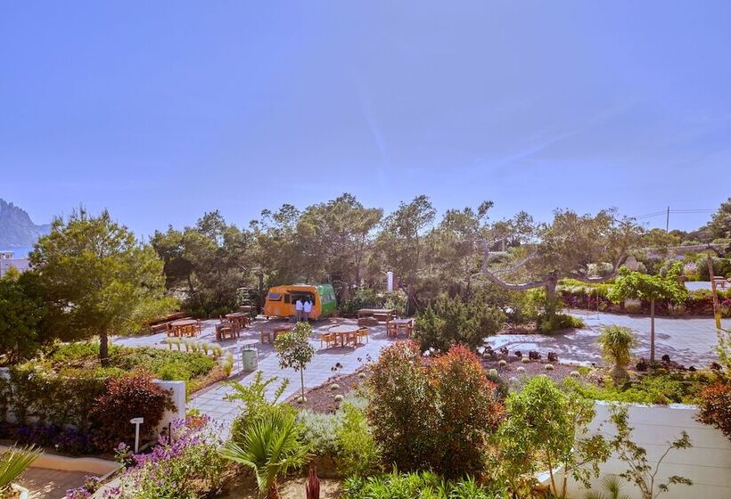 Petunia Ibiza, A Beaumier