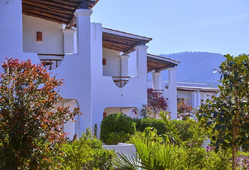 Petunia Ibiza, A Beaumier