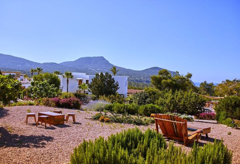 Petunia Ibiza, A Beaumier