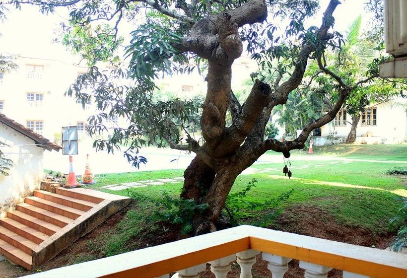 Spacious Fully Ac Apartment Cm040