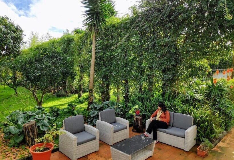 Bed and Breakfast Quinta Minuvida