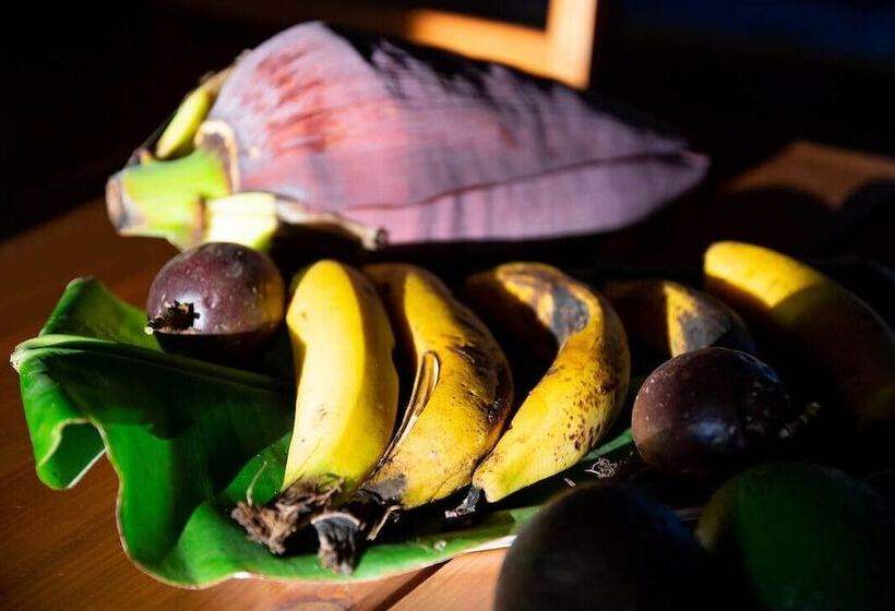 Bed and Breakfast Quinta Minuvida