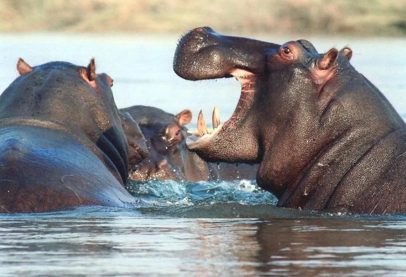 住宿加早餐  St Lucia Escape