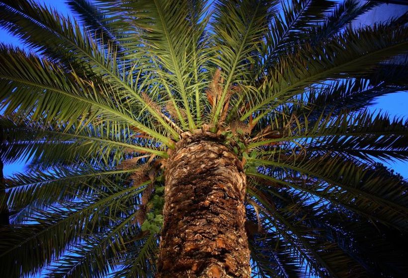 Casa Rural Patio Del Maestro