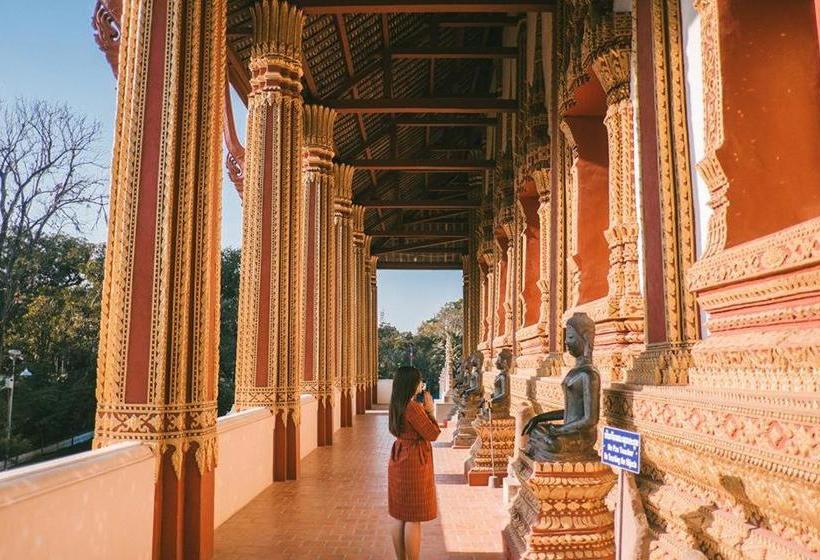 Hive Hostel  Adults Only