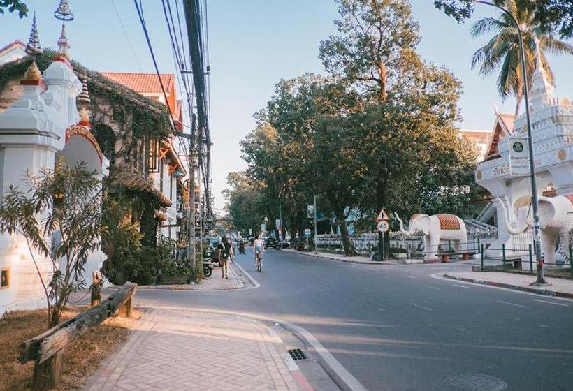 Hive Hostel  Adults Only