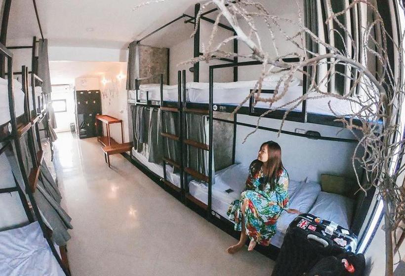 Hive Hostel  Adults Only