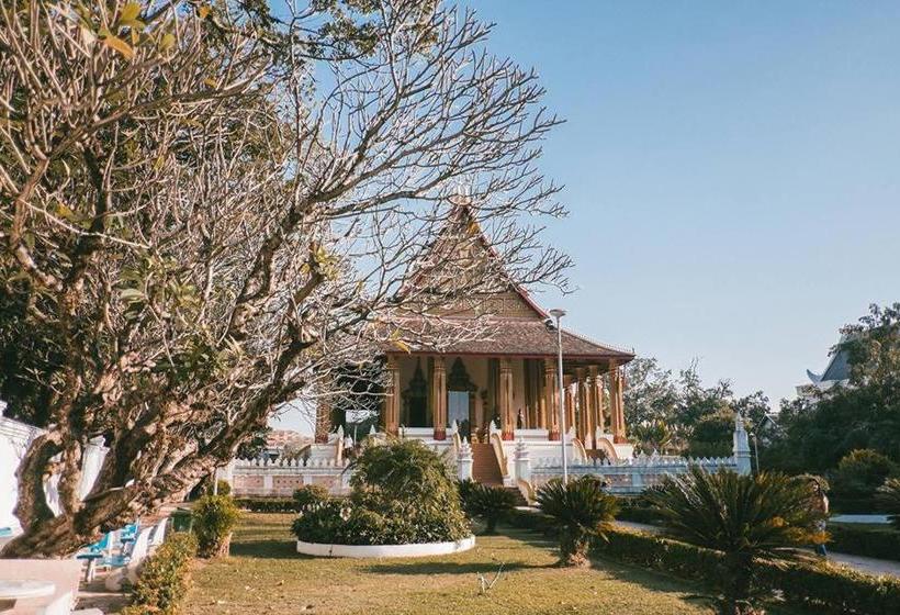 Hive Hostel  Adults Only