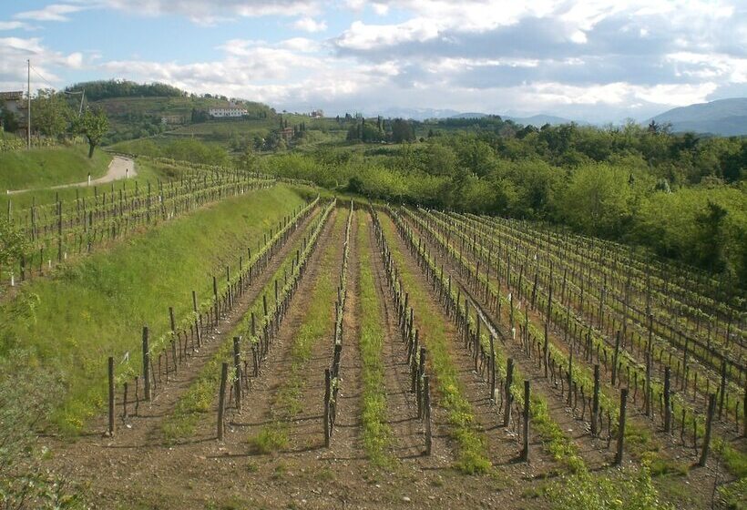 ホテル Agriturismo Giorgio Colutta