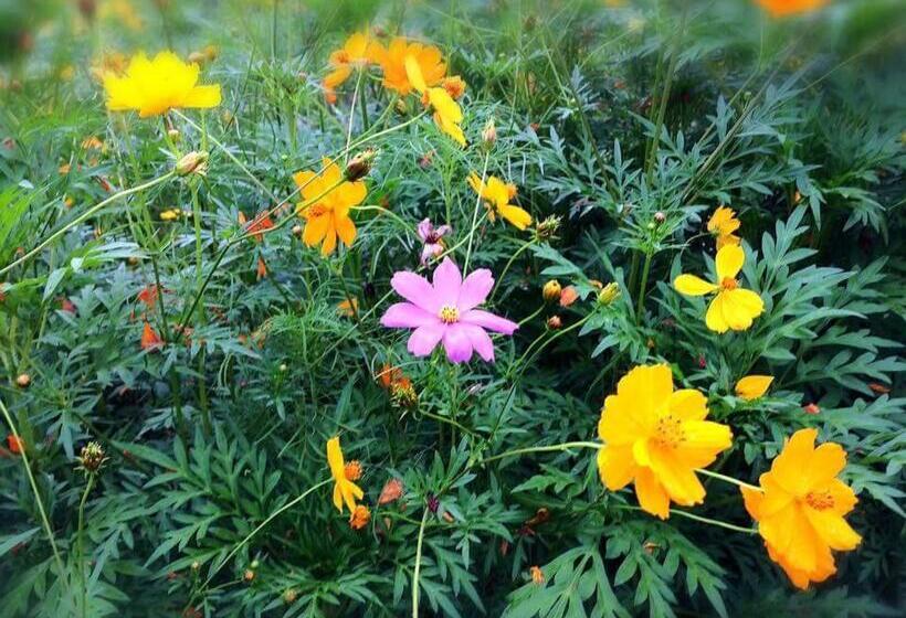 ホテル Phutawan Pundao