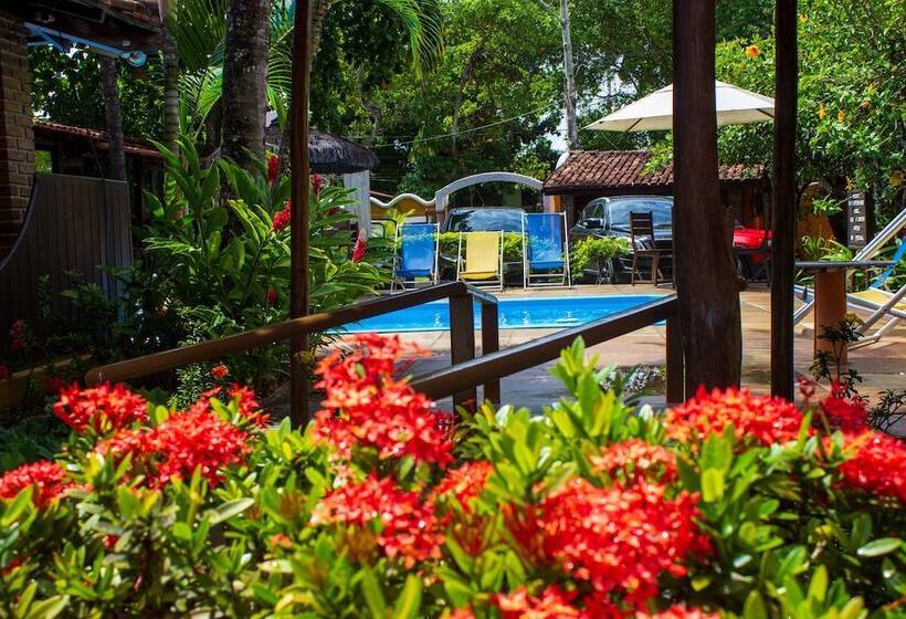 ホテル Pousada Cavalo Marinho