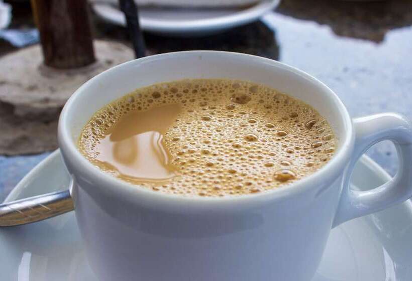 ホテル Pousada Cavalo Marinho