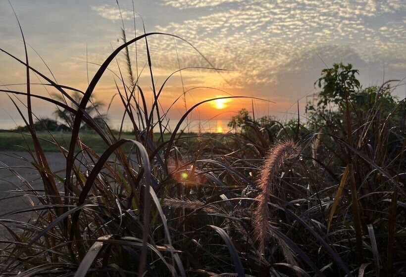 Hotelli The Beach Resort & Residence   Sha Plus