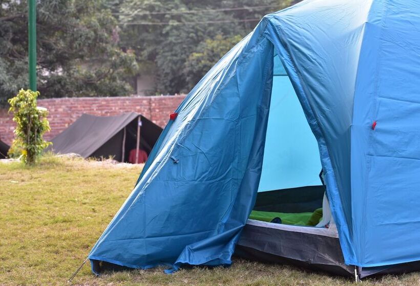 בית מלון כפרי Wildhawk Adventures