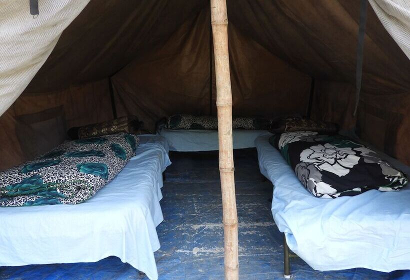 בית מלון כפרי Wildhawk Adventures