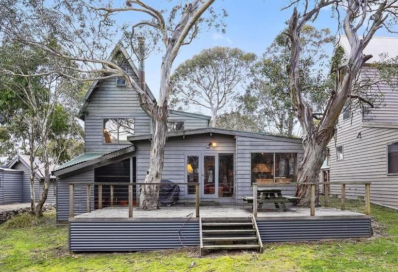 Ironbark