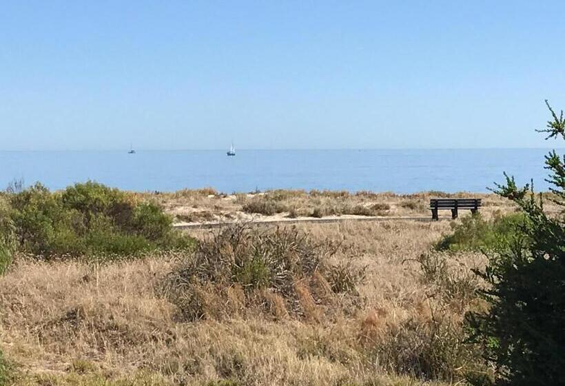 Memories By The Sea   Busselton