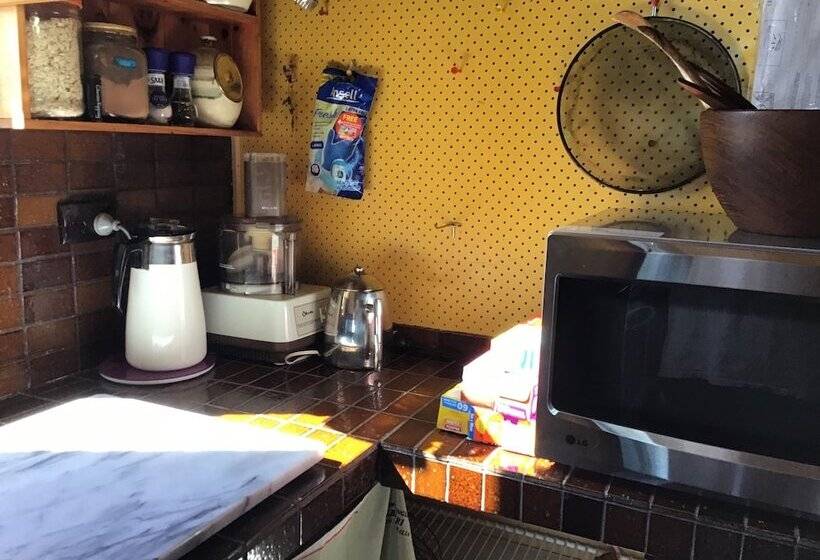 Memories By The Sea   Busselton